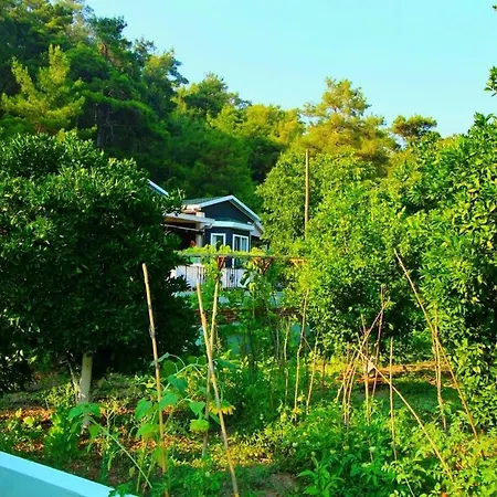 Agora Evi Dom wakacyjny Camlıkoy