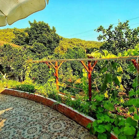 Agora Evi Σπίτι διακοπών Camlıkoy