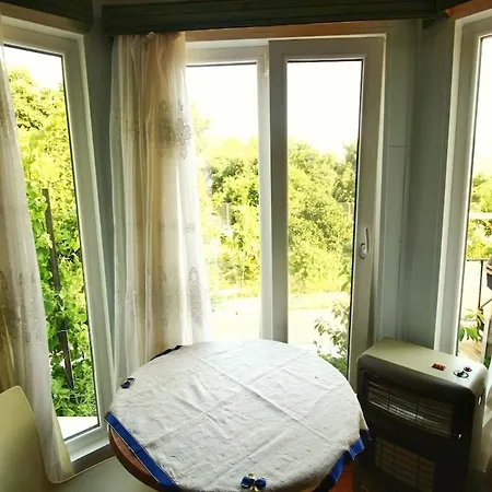 Agora Evi Holiday home *