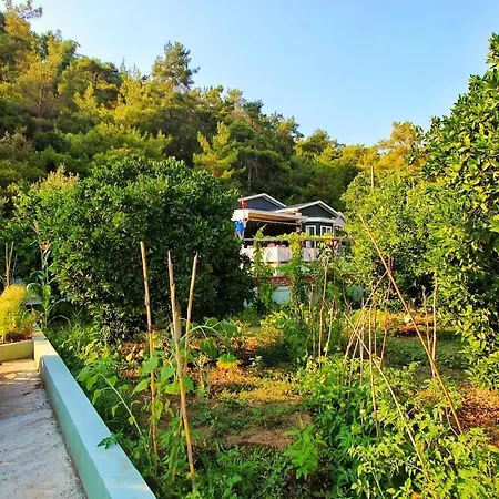 Agora Evi